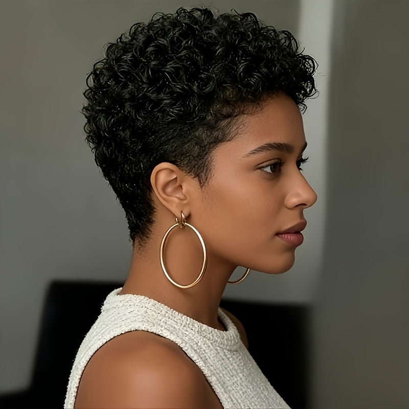 Afro Curly/Kinky Wig