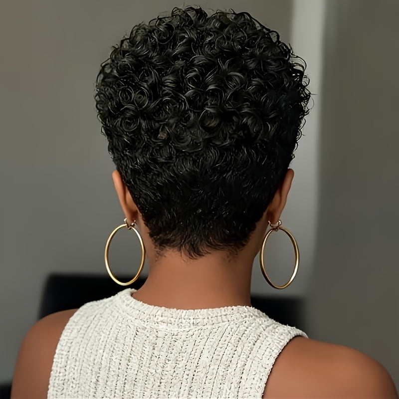 Afro Curly/Kinky Wig